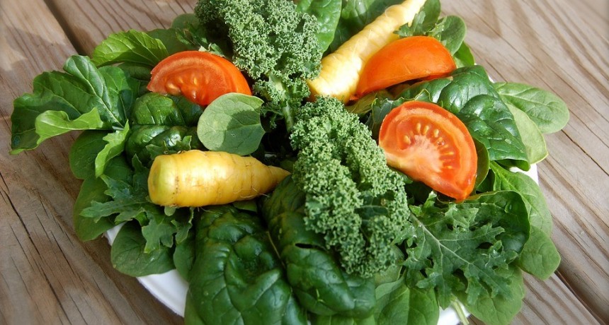 Nutrición: Alimentación Vegetariana