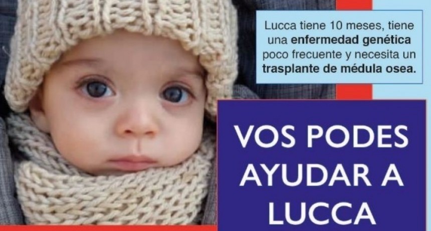 Solicitan donantes para ayudar a Lucca