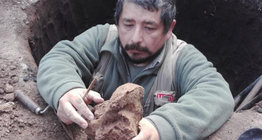 Encuentran el fémur de un perezoso de 70 mil años