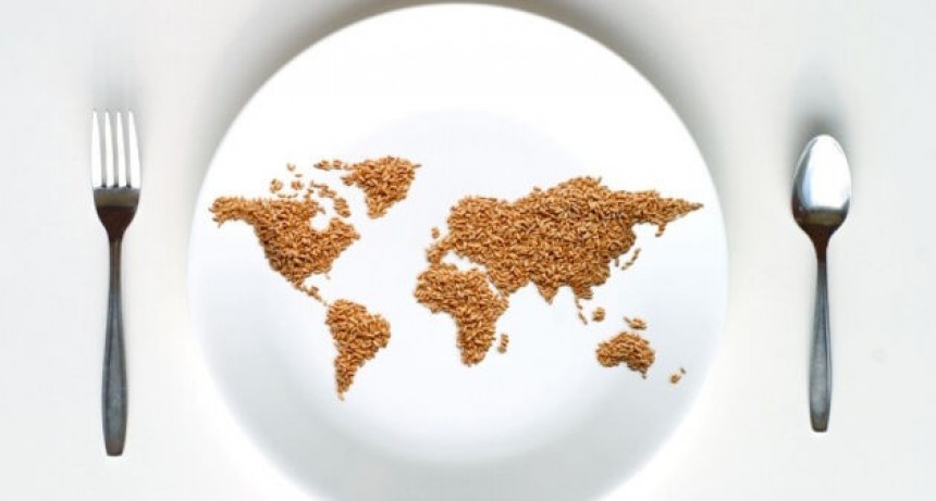Nutrición: Alimentación sana para un mundo con hambre cero