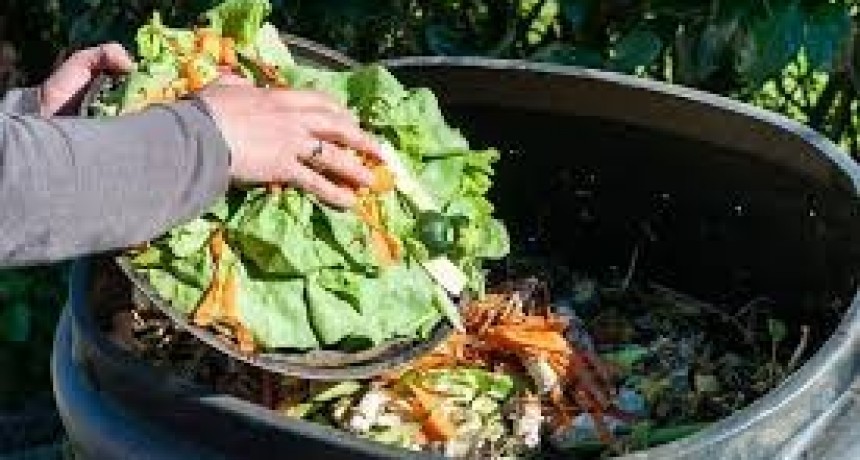 Nutrición: Pérdida y desperdicio de alimentos