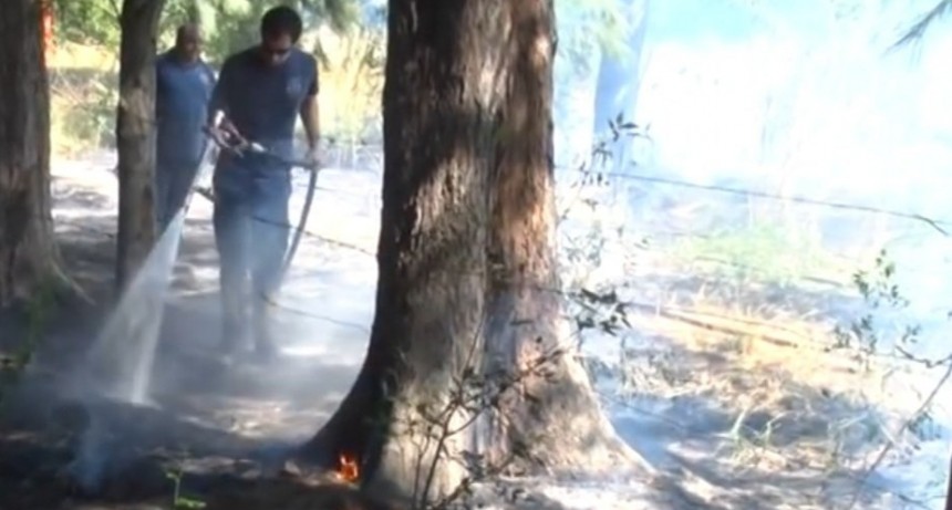Incendios en el ex Instituto Alvear: “Nos preguntamos si son premeditados”